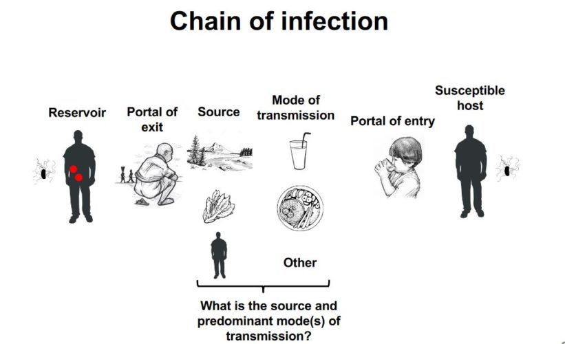 A Vaccination Series: Typhoid Fever - The Cognitive Warrior Project